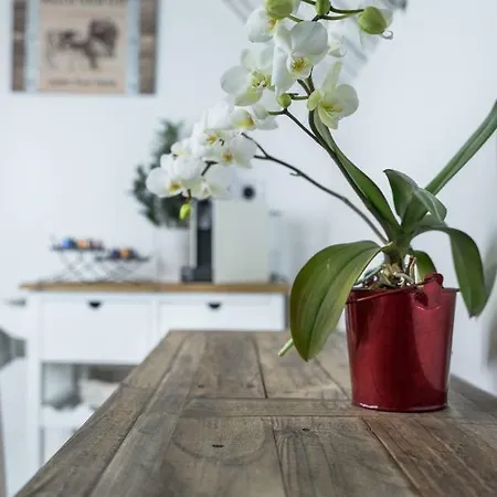 Farmhouse Apartman Lejlighed Eger