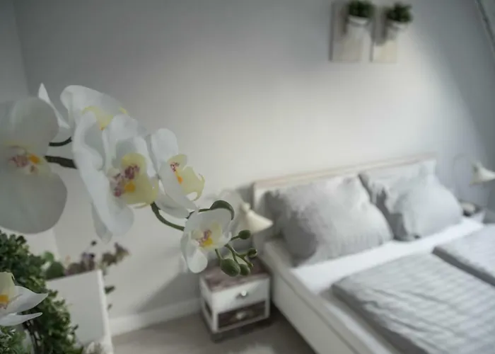 Apartamento Farmhouse Apartman *