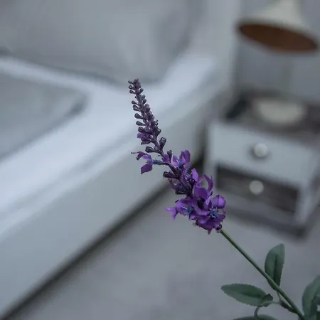 Farmhouse Apartman Eger